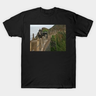 Crossing La Coupee T-Shirt